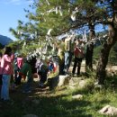 달빛에 물들이고 이미지