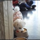 루이야 학교가자 이미지