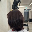 브라운체리 | 가정동 루원시티 미용실 후기｜레이어드펌 + 딥체리브라운 염색 만족 후기