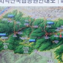 구룡자동차야영장(치악산국립공원) 이미지