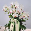 상일꽃농원