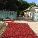 괴산군탄생600주년기념공원 이미지