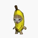 해피캣 Daum카페