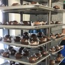 사단법인 예사봉사단 | [사랑의빵나눔터 14기 서포터즈] 라온트리와 함께 한 첫 제빵 봉사 활동 후기!