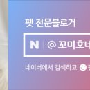 라포르하례 이미지