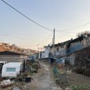 스테이 파랑 이미지