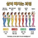 다솜요가 | 장림 PT 후기 -13kg 변화 체지방률 40%→29% 예신 다이어트 성공기