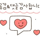 으뜸50안경수원인계점 이미지