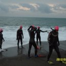 에스티엠(STM) 이미지