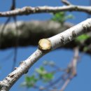 한진농장 이미지