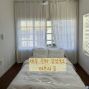 레몬의 꿈 | [★펜션 후기] 제주 구좌 민박 독채 레몬의 꿈 숙박후기