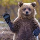 시흥대로153길 이미지