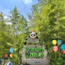 판다샵(Panda Shop) 네이버블로그