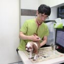 (주)마미닥터 이미지