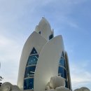대주프라자 | 베트남 나트랑 가볼만한곳 빈원더스 포함 필수 코스 선별