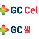 303 이미지