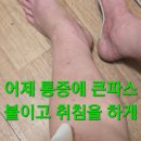 매니아카페