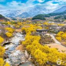 구례의길(남도이순신길) | 구례 가볼만한곳
