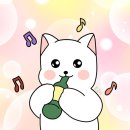 소이키친 이미지