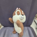강남역 피부과 이마 필러 더채움 자연스러운 변화 후기
