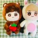 인형스토리 이미지