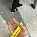 2026 불교박람회 굿즈 추천 꿀팁(10만원 어디 썼나 보러오세요)