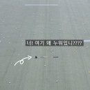 울산 골프 연습장/ 울산 인도어 연습장/ 울산 남구 야외연습장/ 최장 전장 길이/ 울산 남구 파크애비뉴...