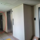 분당-170 이미지