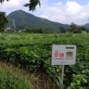 교산동 건물지 이미지