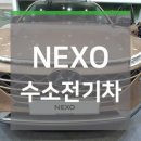 넥소 이미지