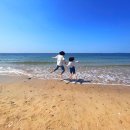 파도와 바람을 달리다 - 대천 해수욕장 레일바이크 &amp; 가족여행 후기