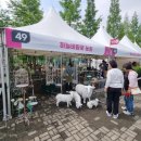 하늘바람꽃농원 이미지