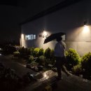 [제주] 귤밭 속 펜션 바티-1 (숙소)