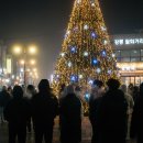 남대천강릉교밑 | 2025 강릉 크리스마스 겨울축제 총정리, 일정·장소·프로그램·운영시간·관람팁 한 번에 끝내기