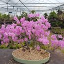 주암동농장 이미지