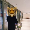 세일푸드 이미지