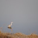 금호강2 이미지