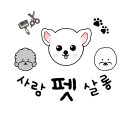 마시멜로냥 이미지