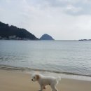 둘레길3코스민박 이미지