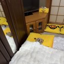 샤갈 노래연습장 네이버블로그