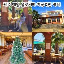 올댓커피제주 | 제주 애월 이국적인 분위기 카페 추천｜실내 반려견 동반 가능한 올댓커피 솔직 후기