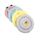 카라말티즈 이미지