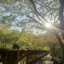 C7 | 횡성 카라반 캠핑장 후기｜초보캠핑장 카라반, 계곡 앞 명당 C6 C7 솔직후기