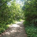 진동산채민박 | 아침가리 계곡 트레킹 - 2023년 7월 30일