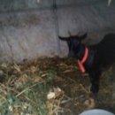 윤씨네농장 이미지