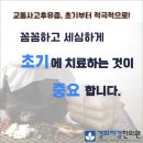 경희자강한의원 이미지