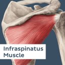 프러스메디칼 이미지