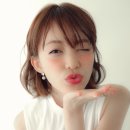 펠로살롱 이미지