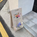 꼰띠고플로라 이미지