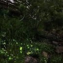 달빛소나타 이미지